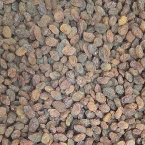 Red Raisins