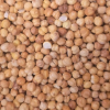 Roasted Chickpeas
