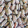 Sugar Coated Almond